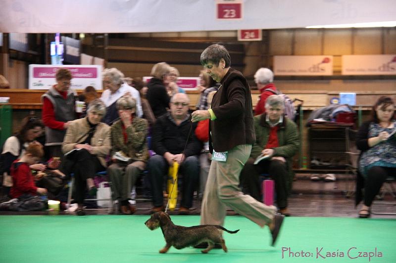 Crufts2011_2 1298.jpg